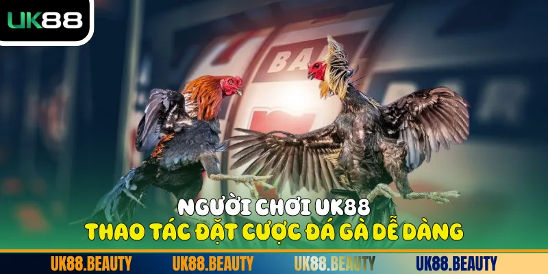 Người chơi UK88 thao tác đặt cược Đá gà dễ dàng